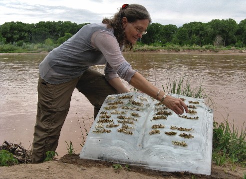 Basia Irland- by Río Grande with large Ice Book