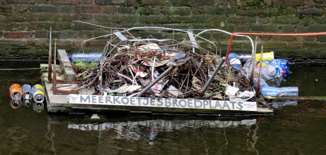 meerkoetnestbuiltfromriverdebris