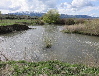 Portneufupstream