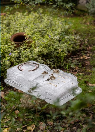 1- Bernesga River Ice Book I [photo by Eduardo Fandiño]