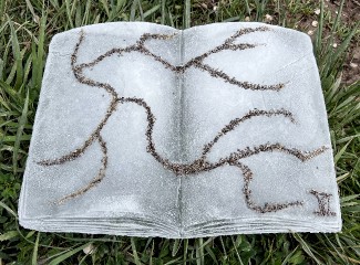 1- Bernesga River Ice Book I [photo by Eduardo Fandiño]