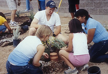 planting2